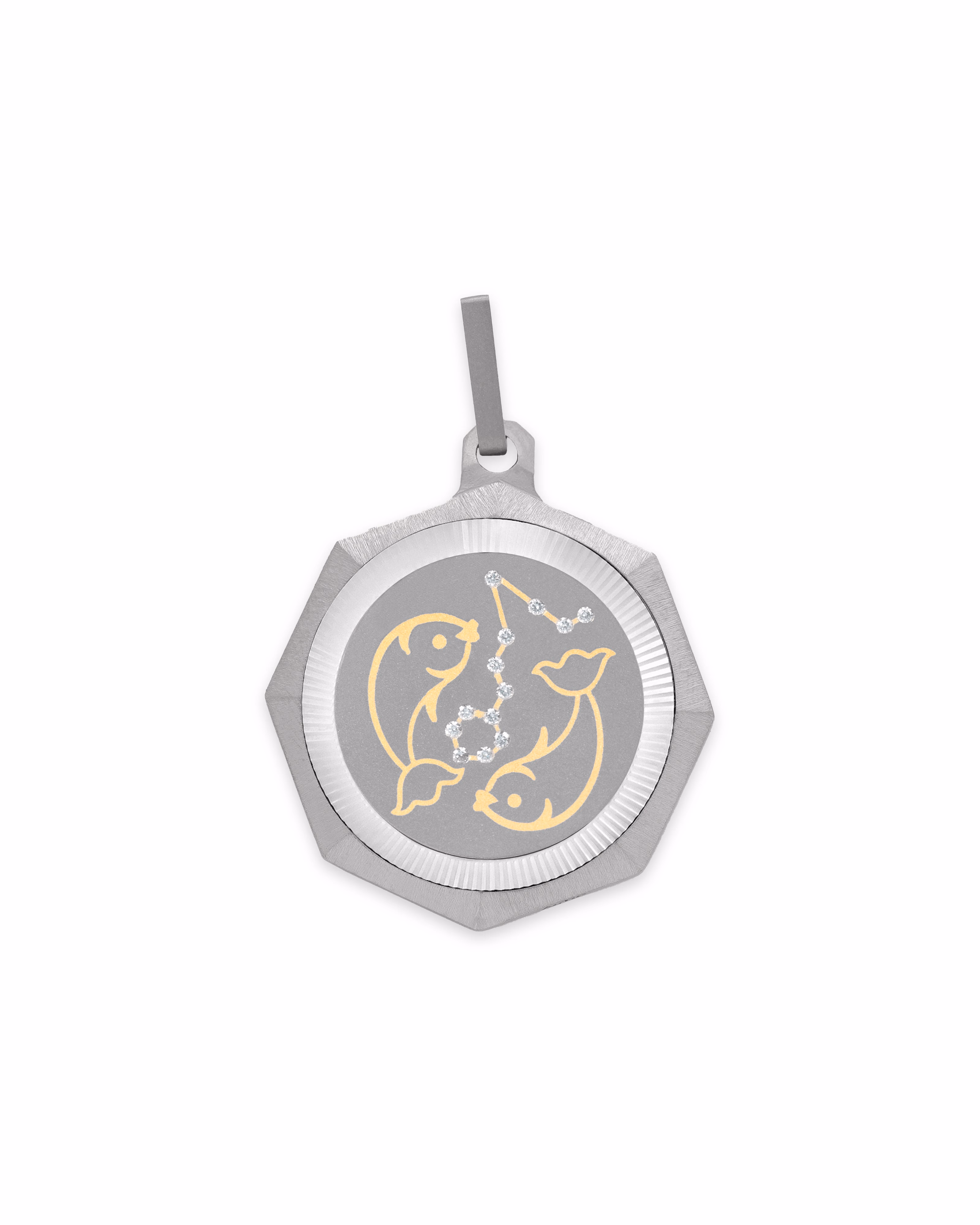 Pisces – Titanium Zodiac Pendant.