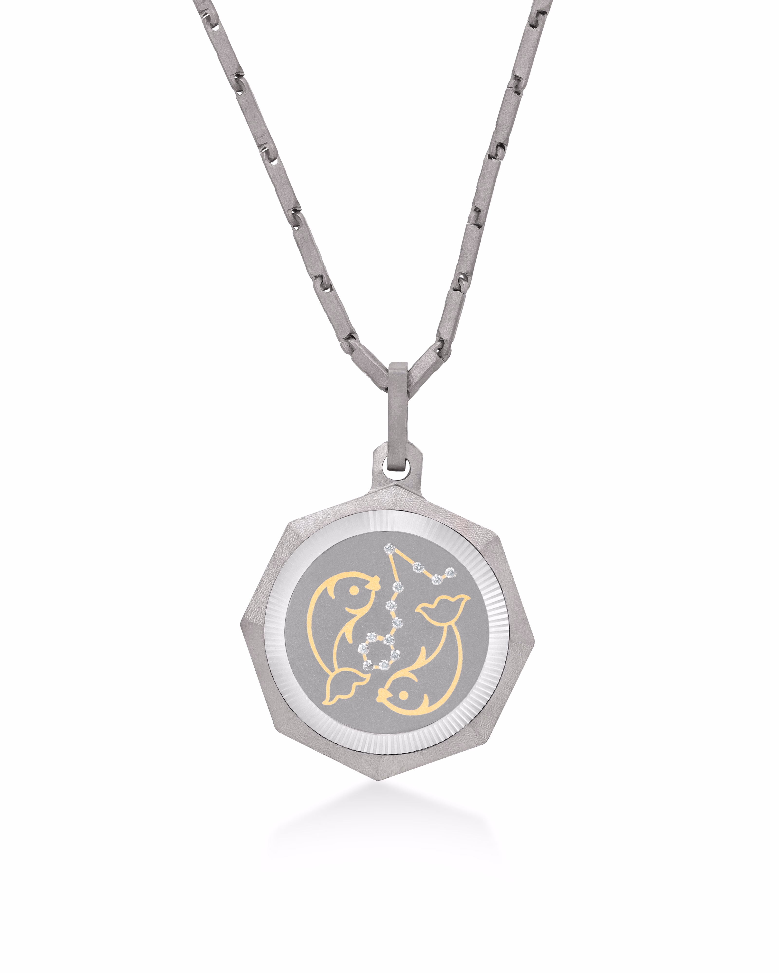Pisces – Titanium Zodiac Pendant.